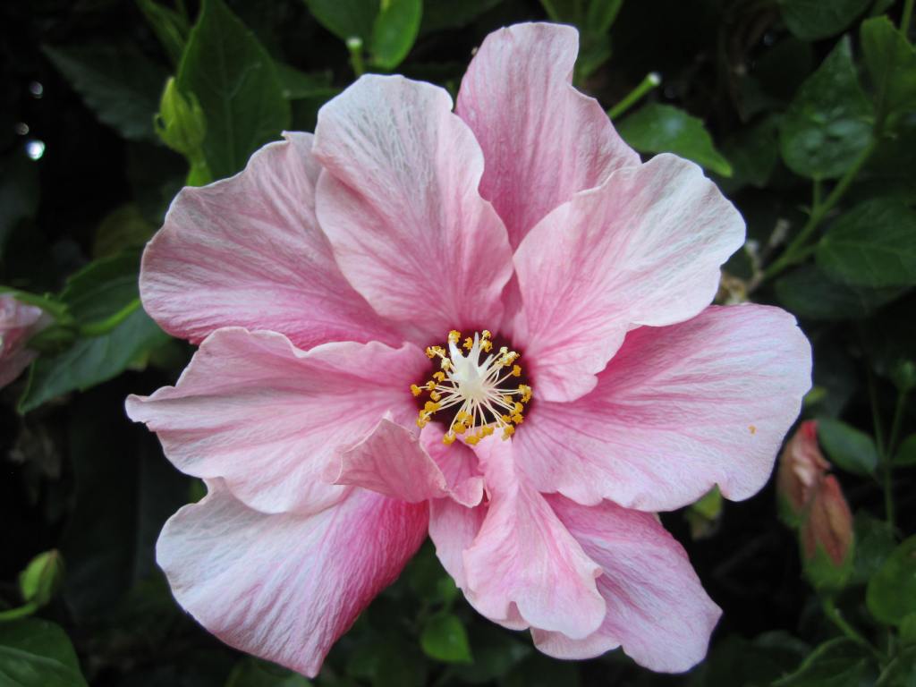 Kun sanon itselleni&nbsp;kyllä